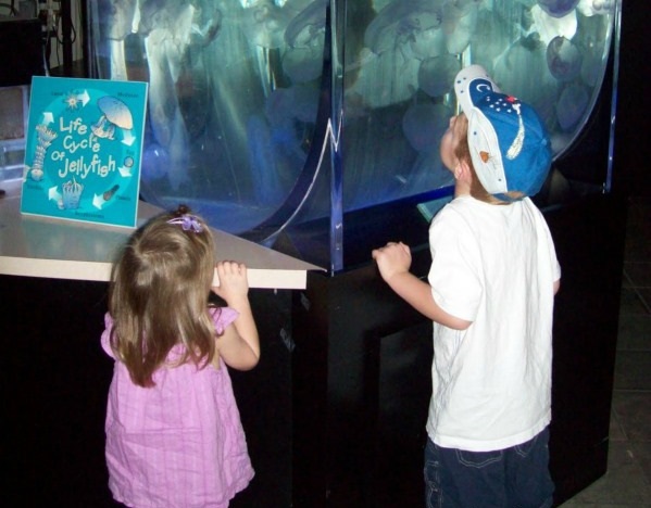 Museum Reciprocity! Save Money or Get FREE Admission!