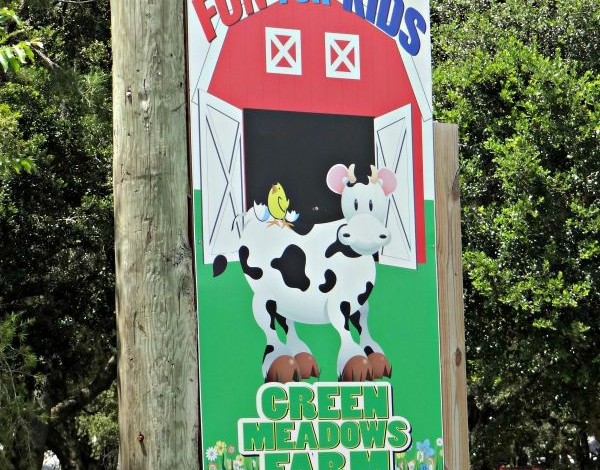 Getting Up Close To Animals at Green Meadows Farm!