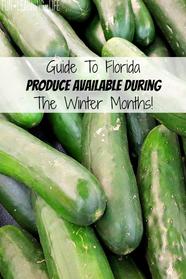 Guide To Florida Produce Available During The Winter Months! Fun