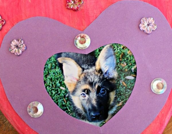 Puppy Frame Craft and Lady and the Tramp Joins The Walt Disney Signature Collection!