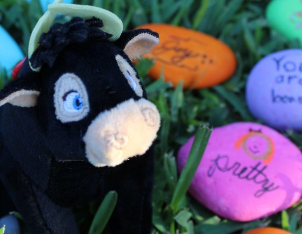How To Create and Share Kindness Rocks and Spreading The Message of Ferdinand!