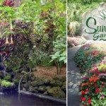 1/2 Price Sunken Gardens Groupon Deal for Tampa Bay