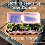 Starting Seeds In An Egg Carton! The Kids And I Worked On A DIY Garden Project Together!
