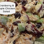 Cranberry and Apple Chicken Salad Recipe! Takes Less Than 10 Minutes To Prepare!