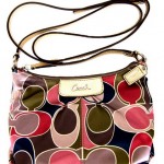 And the Winner of the Coach Ashley Scarf Print Swingpack Purse Is…