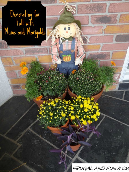 fall front door display with scarescrow and mums and marigolds