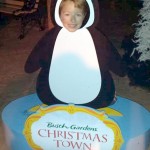 Christmas Town at Busch Gardens Tampa Bay! A Fun Festive Lighted Holiday Experience!