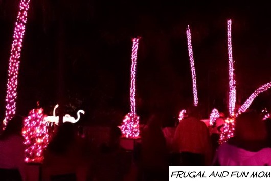 Lighted Flamingos at Christmas Town Busch Gardens