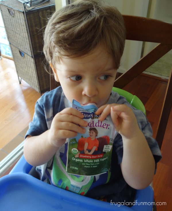 Stonyfield’s YoToddler Review Organic Yogurt