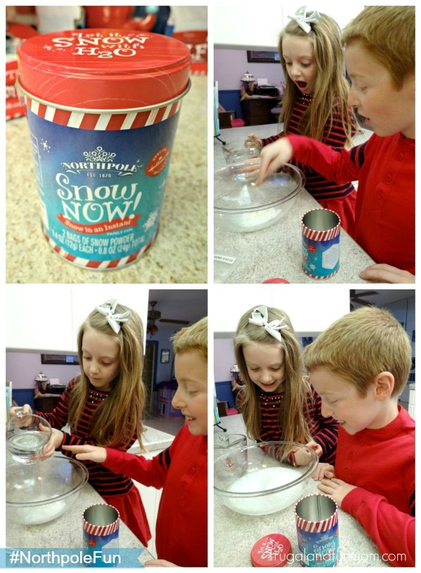 Winter Time Florida Style with #NorthpoleFun and Homemade Elf Cookies! #Shop