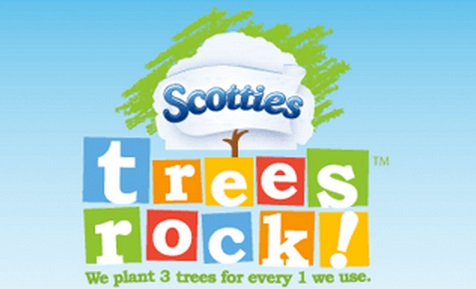 Trees Rock Contest Scotties
