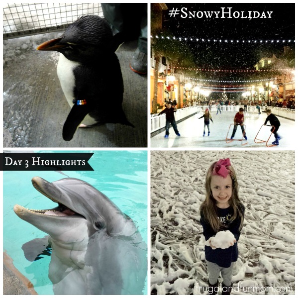 Day-3-Snowy-Holiday-Kissimmee