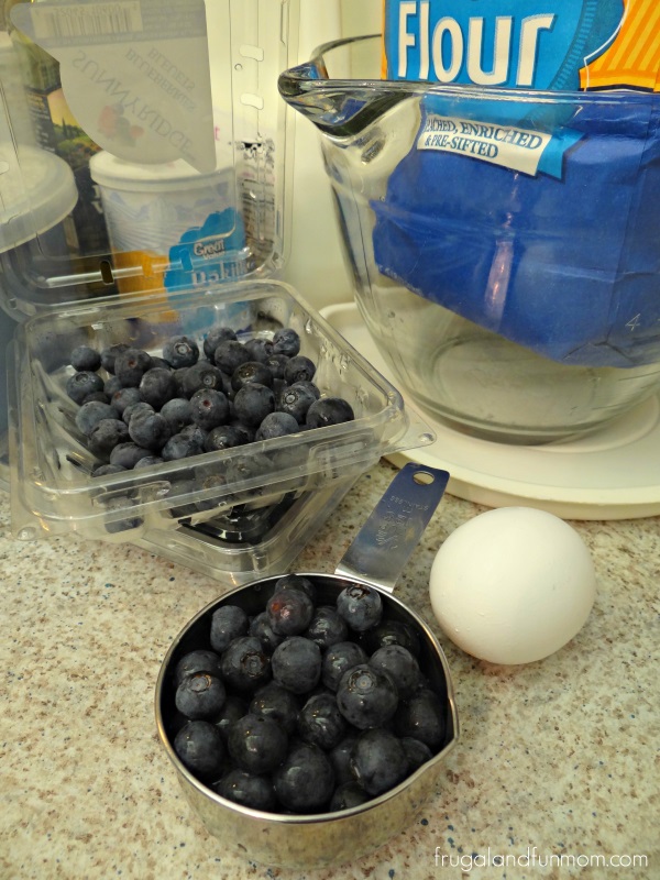 Ingredients for Blueberry Waffles