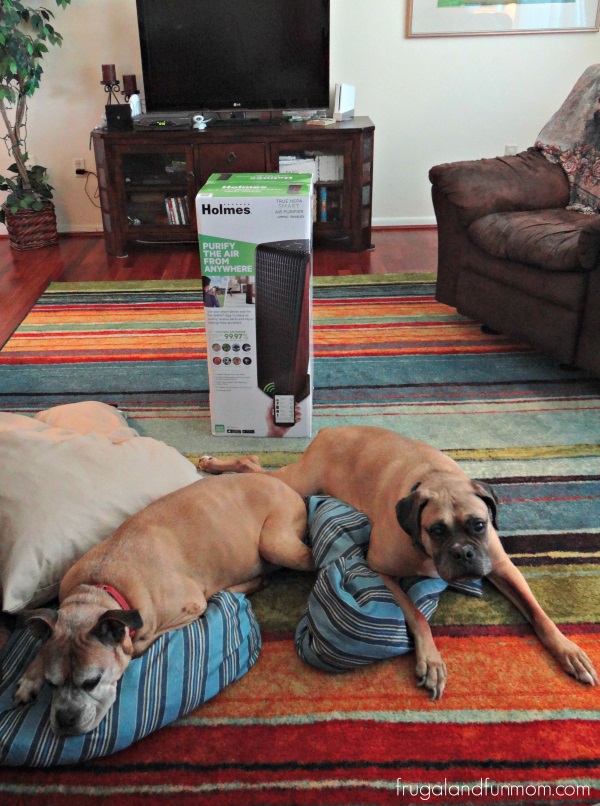 Dogs and Holmes Air Purifier
