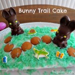 Bunny Trail Cake Made With Palmer Chocolate Easter Candy and a Cotton Tail!