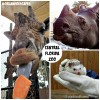 Visiting the Central Florida Zoo and Botanical Gardens!