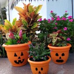 Jack O’Lantern Flower Pots! An Alternative To Using a Pumpkin for Halloween!
