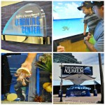 The Carol J. and Barney Barnett Learning Center at The Florida Aquarium! A Fun and Educational Visit!