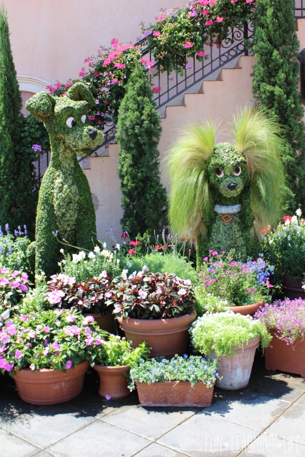 Lady and the Tramp Character Topiary at Epcot International Flower and Garden Festival