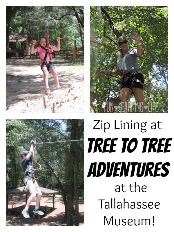 Zip Lining at the Tallahassee Museum at Tree To Tree Adventures
