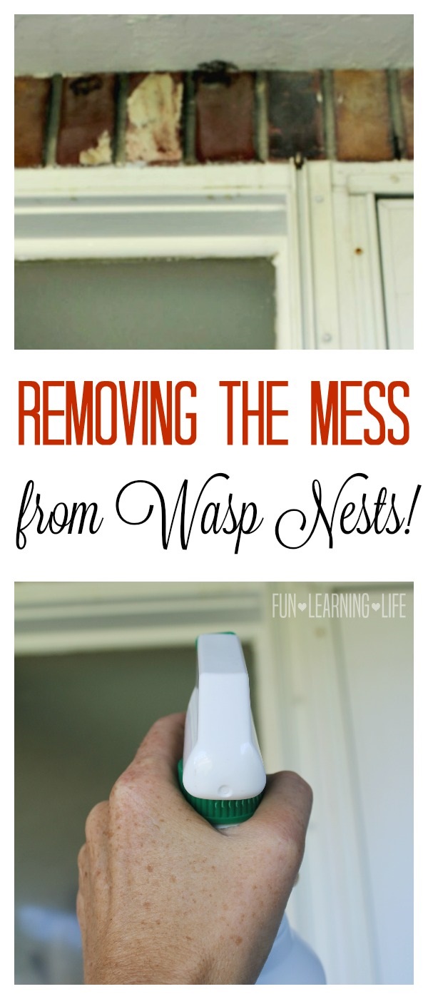 How I removed the mess from Wasp Nests