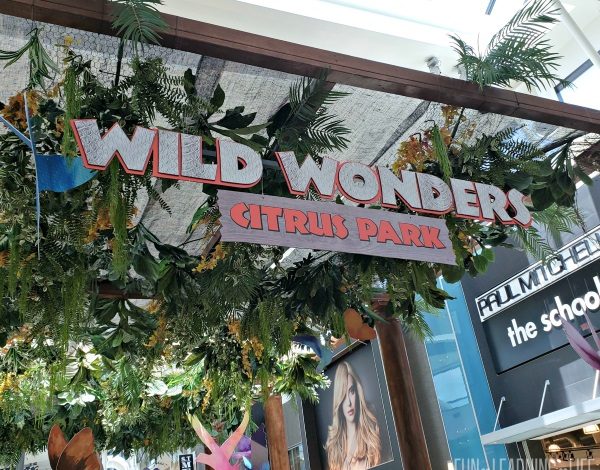 Family Fun in Wild Wonders at Citrus Park Mall Now Through August 5th!