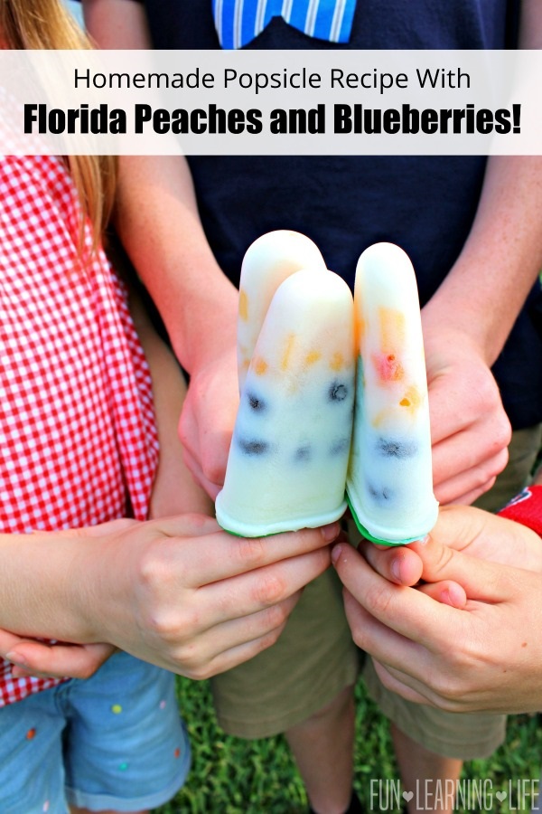 Homemade Popsicle Recipe With Florida Peaches and Blueberries!