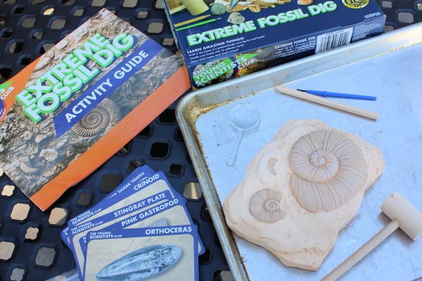 Teaching Paleontology with the Extreme Fossil Dig Kit!